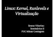 Linux: Kernel, Runlevels e Virtualização