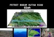 Potret Buram Hutan Riau