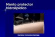 Clase Dermato 4: Manto protector hidrolipídico