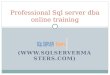 Professional s q l server dba online training