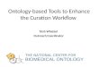 Ontology-based Tools to Enhance the Curation Workflow
