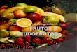 Frutos & Pseudofrutos