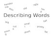 Describing words
