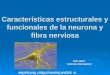 Características estructurales y funcionales de la neurona y