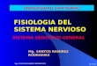 CLASE 1 - FISIOLOGIA  DEL SISTEMA NERVIOSO (sensibilidad)