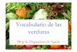 Vocabulario de las verduras. blog de hispanistas de agadir