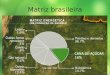 Matriz brasileira produção de alimentos