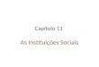 Capítulo 11   instituições sociais
