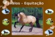 Cavalos iris8 b