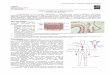 Patologia 10   fisiopatogênese da aterosclerose