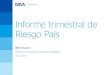 Informe RIESGO PAÍS - segundo trimestre 2013 - BBVA Reseach