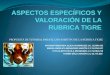 Presentacion g37 aspectos_especificos_y_valoracion_de_la_rubrica_tigre