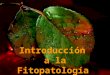 Tema 1 Introducción a la Fitopatología