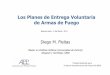 Informe sobre los Planes de Entrega Voluntaria de Armas de Fuego realizado para Banco Interamericano de Desarrollo (BID)