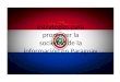 Estrategias para promover la sociedad de la informatica en paraguay