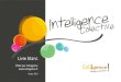Colligence intelligence-collective-leslivresblancs.fr