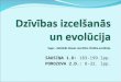 B 10 13_suga_cilveka_evolucija