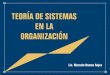 Teoria de sistemas en la organización