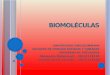 Diapositivas biomoléculas