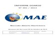 Informe Diario MAE 29-10-12