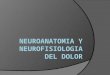 Neuroanatomia y fisiologia del dolor
