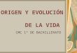 Origen y evolución