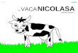 Vaca Nicolasa1
