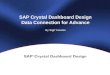 Xcelsius - SAP Crystal Dashboard Design Data Connection for Advance