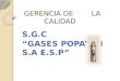 Presentacion calidad gases popayan