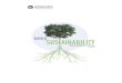 Avalon Sustainability Report Summary 2012 in German
