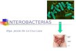 Bacilos Entericos Upla