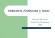 Industria andaluza y local   copia