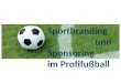 Sportsponsoring u. Sportbranding im Profifußball