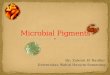 Mikrobial pigmen