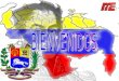 Escuelas Y Liceos Bolivarianos