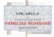 Familiae Romanae Vocabula (X)
