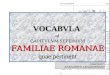 Familiae Romanae Vocabula  (VII)