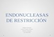Endonucleasas de restricción