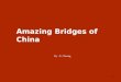 Bridges Made in China