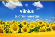 Vilnius - Judrus miestas
