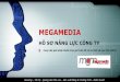 Megamedia - Company profile