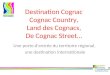 Réunion cognac 02052011