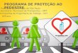 Programa Proteção ao Pedestre
