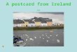 A Postcard From Ireland