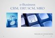 e-business (CRM, ERP, SCM, MRO)