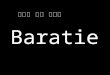 Baratie - 사회적식당 만들기