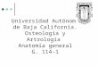 Osteologia 114-1