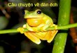Câu chuyện về đàn ếch