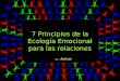 Refleja. 7 Principios De La EcologíA Emocional Para Las Relaciones