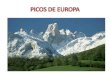Picos de europa alicia
